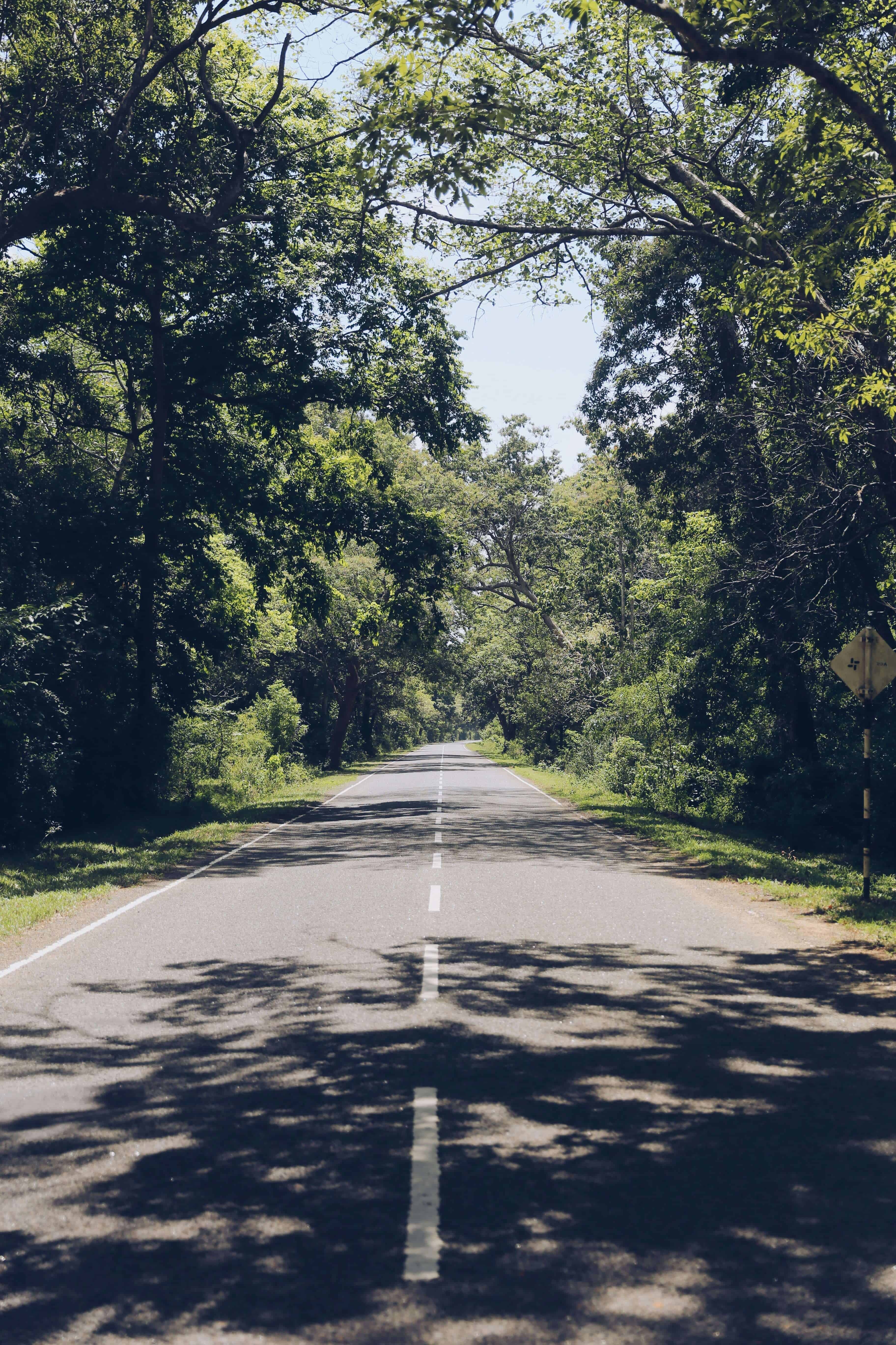 Road trip in Sri Lanka